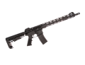karabinek AR-15 PAC-15 16 cali.png
