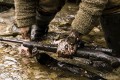 csm_Kompromisslose-Haerte_9f67a599ab.jpg