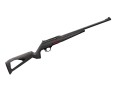 Winchester Wildcat 1.jpg