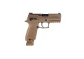 P320 M18_1.jpg