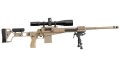 Coyote-1.jpg
