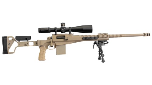 Coyote-1.jpg