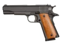 RIA 1911 Standard 1.webp