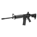 colt.jpg