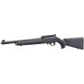 ruger1022.jpg