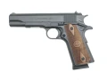 chiappa2.jpg
