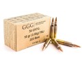 GGG-223-Rem-FMJ-55gr.jpg