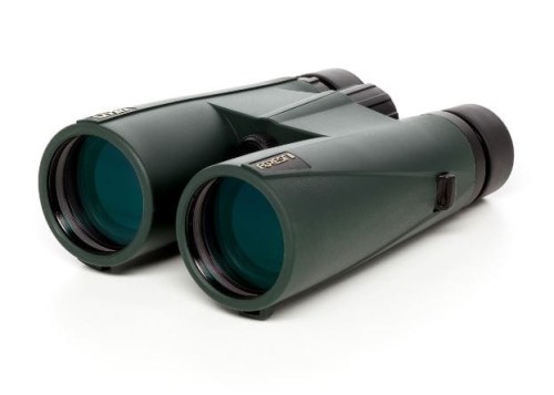 delta optical Forest II.JPG